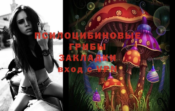 мет Алексин