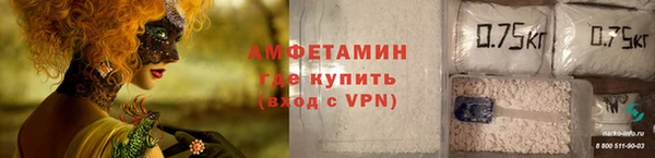 мет Алексин