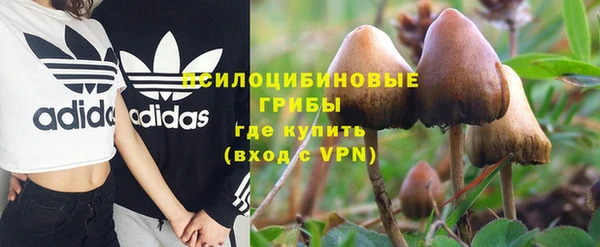 мет Алексин