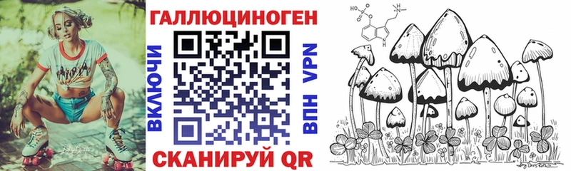 Псилоцибиновые грибы мицелий  Краснообск 